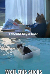 I should buy a boat cat meme. Well this sucks version. 